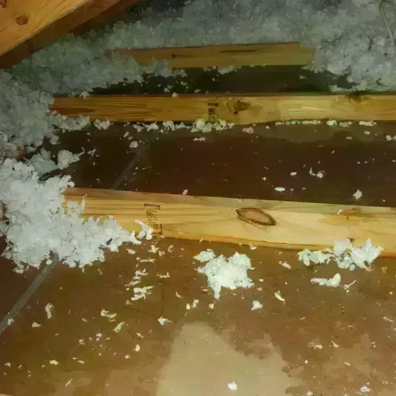 Attic Water Damage in Deweyville, TX